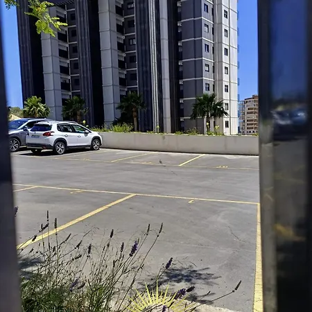 Sunset Drive Sunshine *